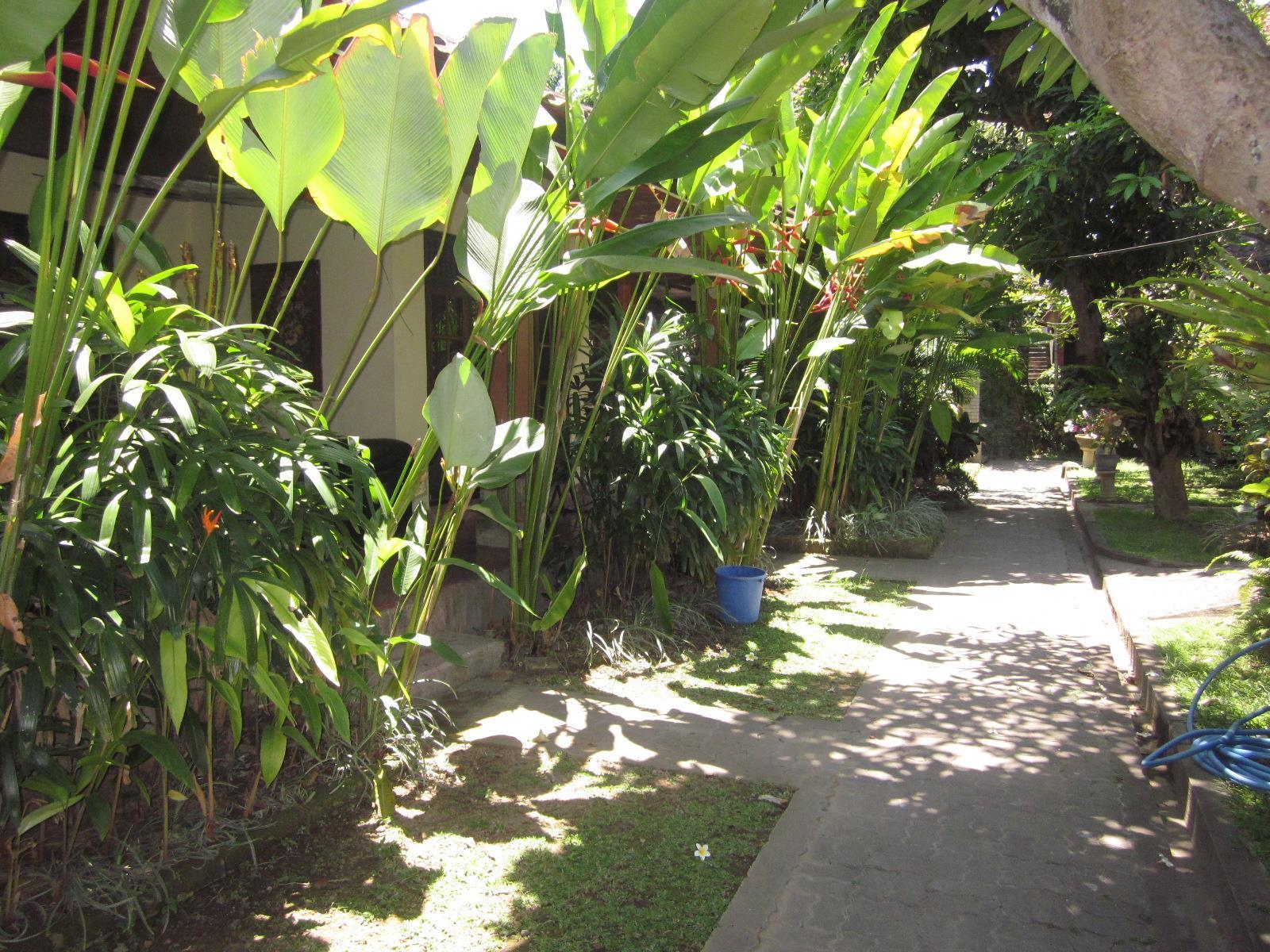 Bali Wirasana Guest house
